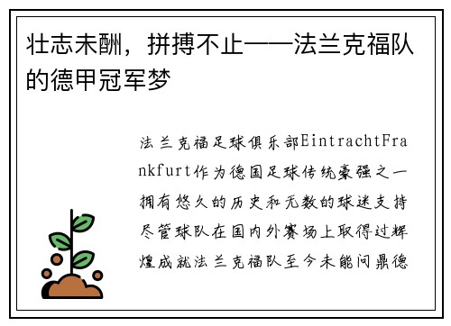 壮志未酬，拼搏不止——法兰克福队的德甲冠军梦